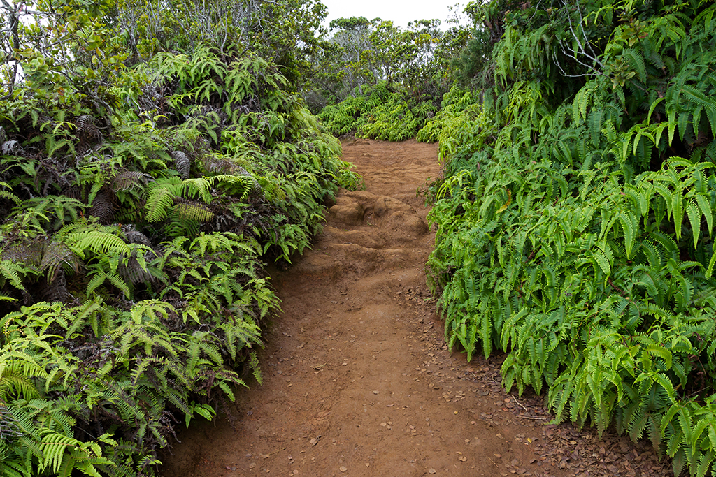 Kauai - 033.jpg